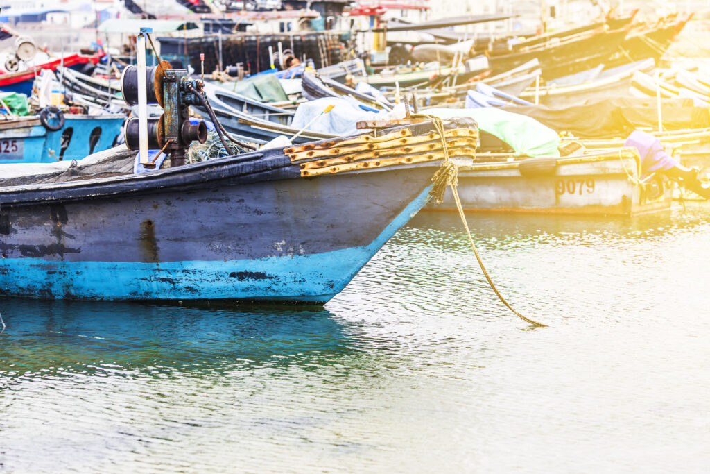 Lorem ipsum dolor sit amet, consectetur adipiscing elit4