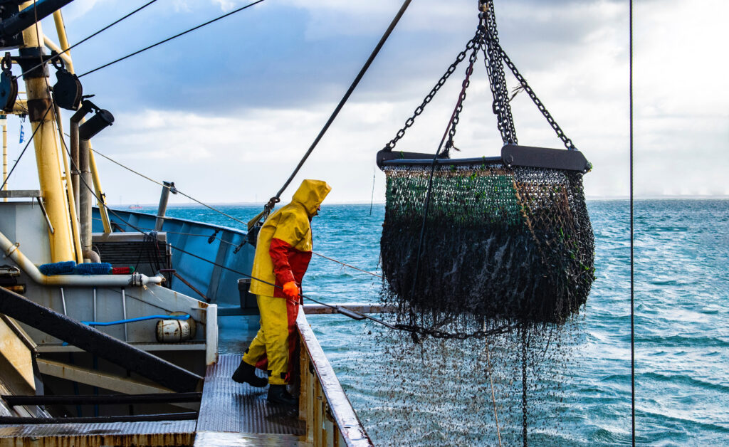 Lorem ipsum dolor sit amet