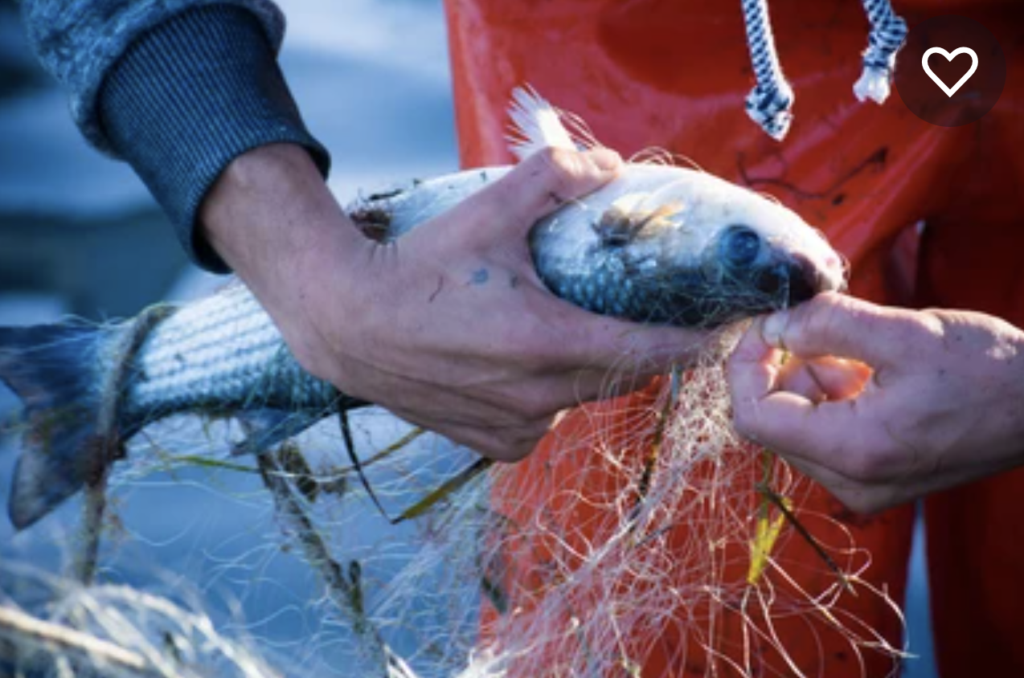 Lorem ipsum dolor sit amet, consectetur adipiscing elit3