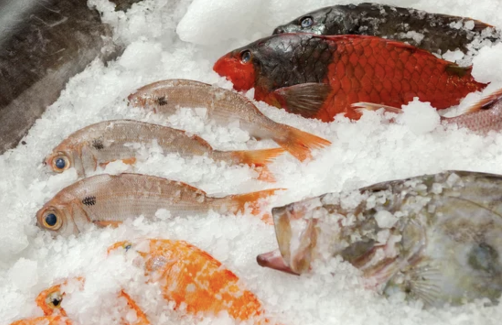 Lorem ipsum dolor sit amet2